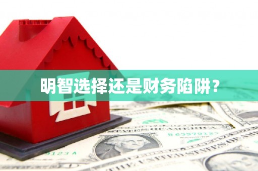 兴安盟明智选择还是财务陷阱？