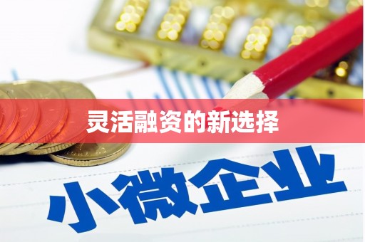 兴安盟灵活融资的新选择