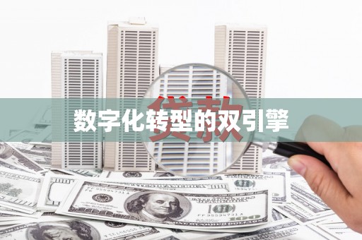 兴安盟数字化转型的双引擎