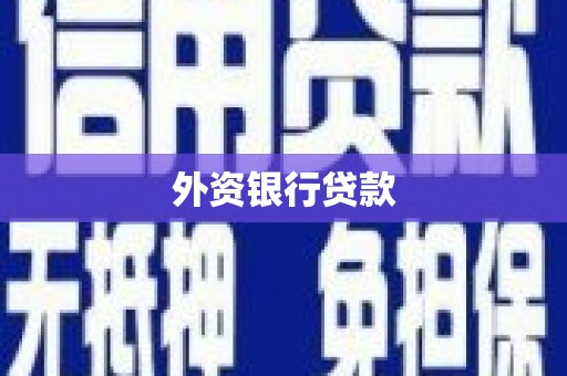 兴安盟外资银行贷款