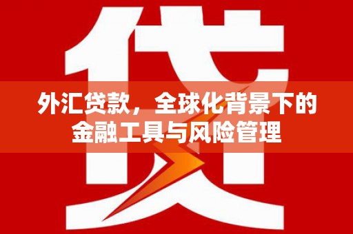 兴安盟外汇贷款，全球化背景下的金融工具与风险管理
